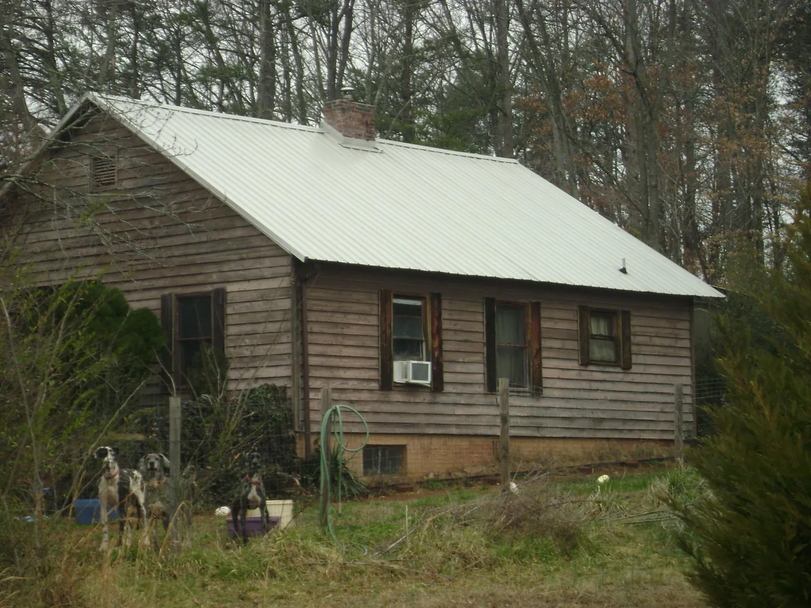 White metal roof on an old wood sided farmhouse, from a Asphalt Shingle Roof Repair job in Maynard
